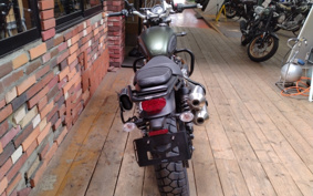TRIUMPH SCRAMBLER 2024 DAD78G