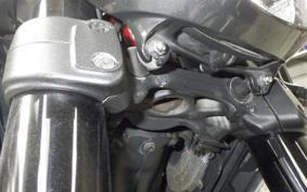 DUCATI ディアベルカーボン 2011