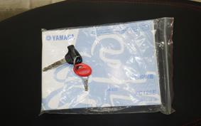 YAMAHA AXIS 125 TREET SE53J