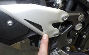 KAWASAKI NINJA 250 2022 EX250Y