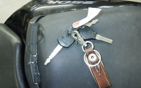 KAWASAKI NINJA 250R 2021 EX250K