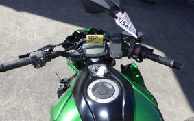 KAWASAKI Z1000 Gen.5 2019 ZXT00W