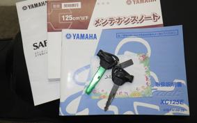 YAMAHA AXIS 125 TREET SE53J