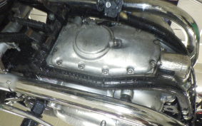 KAWASAKI W800 2022 EJ800E