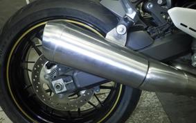 KAWASAKI Z900RS CAFE 2024 ZR900K