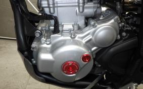 YAMAHA WR250X 2009 DG15J
