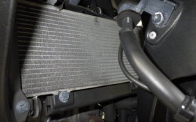 HONDA CBR250RR A 2017 MC51