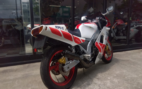YAMAHA TZR250 1KT