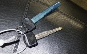 HONDA FUSION GEN 2 2025 MF02