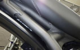 TRIUMPH SPEED400 2024