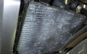 HARLEY RH975S 2024