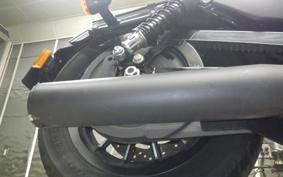 HARLEY XL883N 2010
