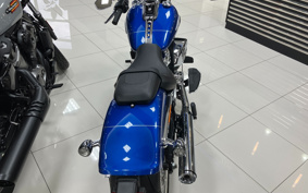 HARLEY  HARLEY FLFB 2025 YF9