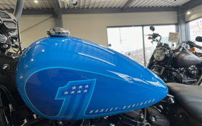 HARLEY FXBBS 2022 YYK