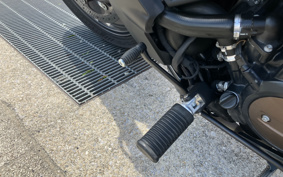 HARLEY RH1250S 2022 ZC4