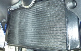 KAWASAKI Z250 SL 2021 BR250E