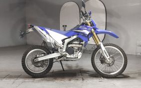 YAMAHA WR250R DG15J