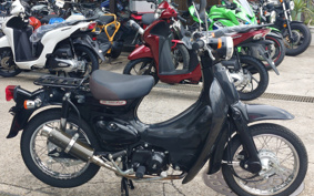 HONDA LITTLE CUB AA01