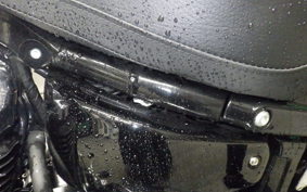 HARLEY FXBRS1870 2021