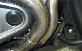 HARLEY ﾊﾟﾝ AMERICA1250S 2021