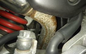HONDA HORNET 250 MC31