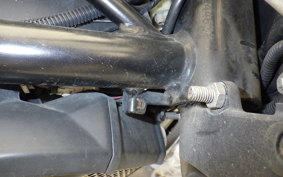 DUCATI MONSTER 696 + 2010