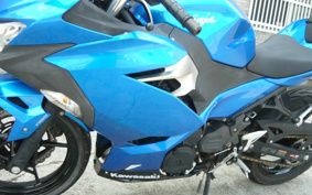 KAWASAKI NINJA 250 EX250P