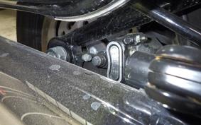 HARLEY FLSB 1750 2019