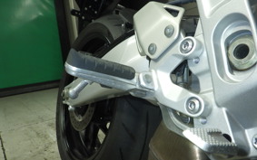YAMAHA XSR900 GP 2024 RN96J