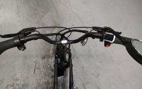 OTHER SWALLOW Fiido Q1S ..