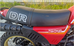 SUZUKI DR250 S SJ41A
