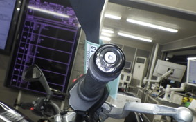 TRIUMPH STREET TRIPLE S 2018