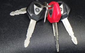 YAMAHA YZF-R1 2009 RN24J