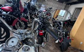 HARLEY FXDI 35th 2005 GW1