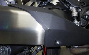 KAWASAKI NINJA 1000 SX 2025 ZXT02K