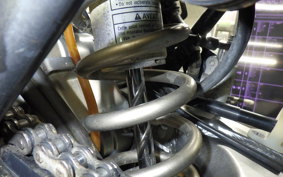 KAWASAKI KLX250D TRACKER 2010 LX250E