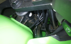 KAWASAKI NINJA 250R 2010 EX250K