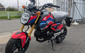 HONDA GROM JC92