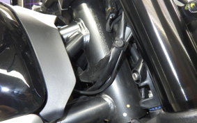 DUCATI SCRAMBLER ICON 2024
