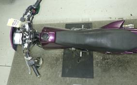 SUZUKI DR250 R-S SJ45A