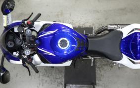 SUZUKI GSX-R1000 2009