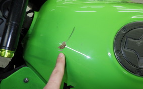 KAWASAKI NINJA 250R EX250K