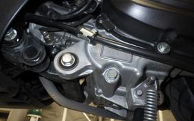 HONDA GIORNO 3 2015 AF77