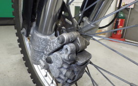 KAWASAKI KLX250 2025 LX250E