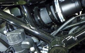 KAWASAKI Z900RS 2021 ZR900C