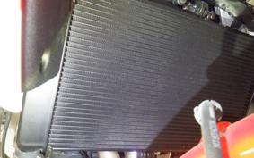 YAMAHA XSR900 GP 2024 RN96J