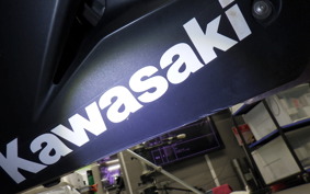 KAWASAKI NINJA 250 SL 2018