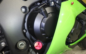 KAWASAKI ZX 10 NINJA ABS 2020 ZXT02E