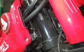 HONDA CT125 HUNTER CUB 2022 JA55