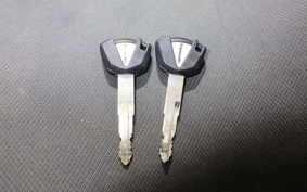 KAWASAKI Z250 EX250P